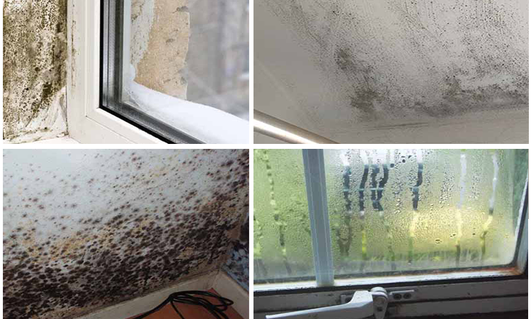 Condensation 