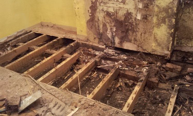 Building Services